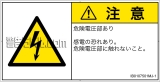 IB0107501　感電